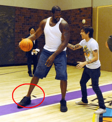 一句队内常 一句队内常